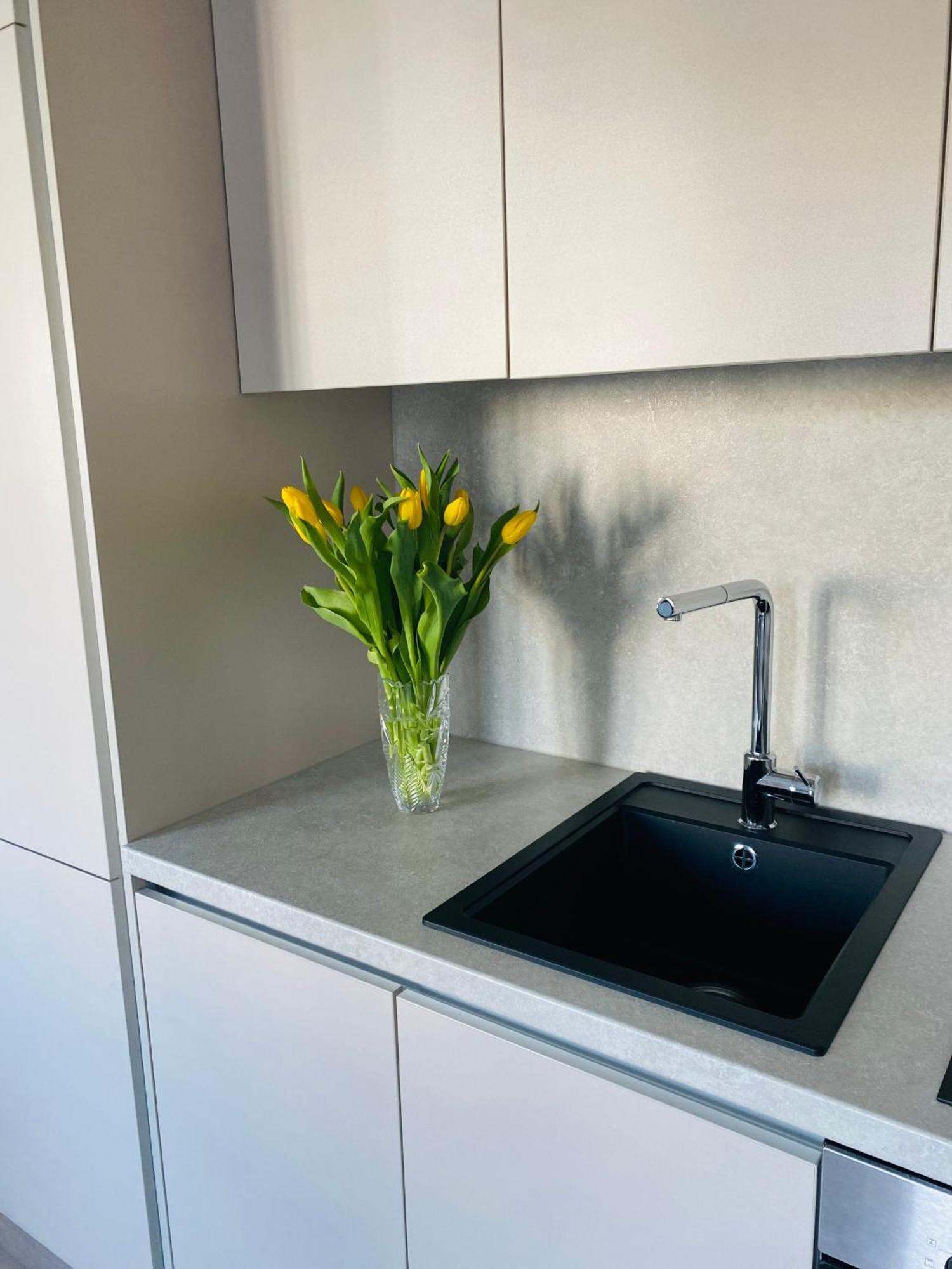 Apartments In The Center Kaunas Ngoại thất bức ảnh